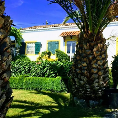 Prázdninový dům Quinta De S Miguel 'casa Das Oliveiras'